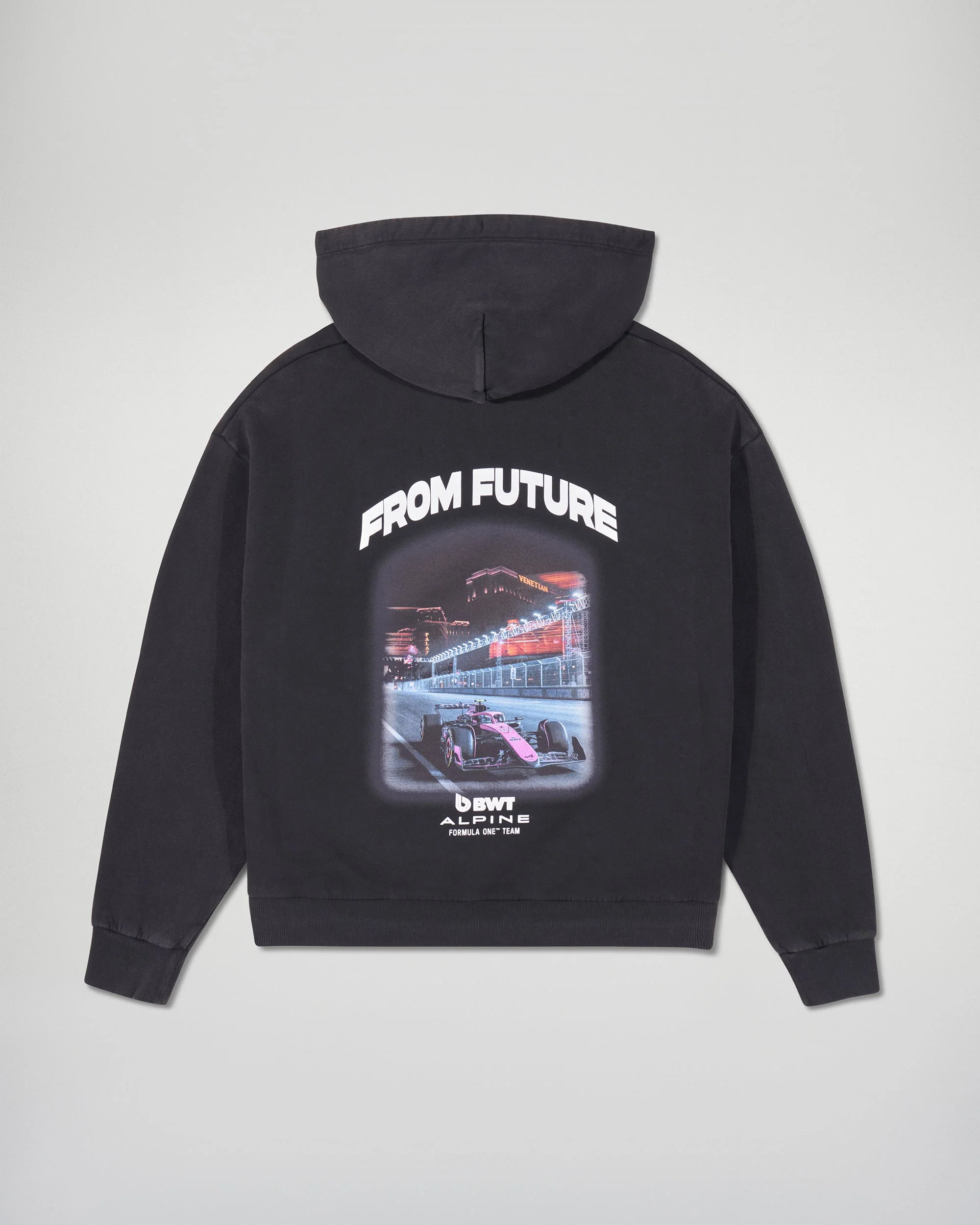 Hoodie Sweatshirt Alpine (H25 / MEN / Washed Black) - Image 8